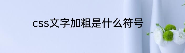 css文字加粗是什么符号