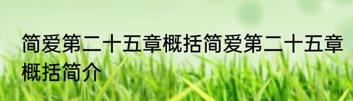 简爱第二十五章概括简爱第二十五章概括简介