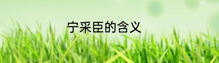 宁采臣的含义