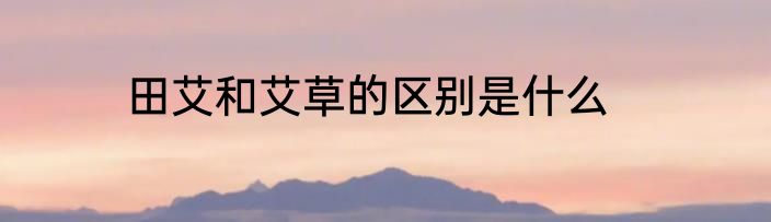 田艾和艾草的区别是什么