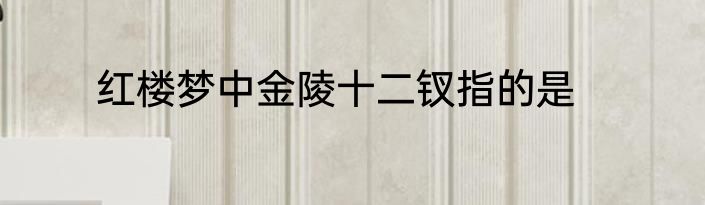 红楼梦中金陵十二钗指的是