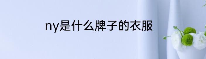 ny是什么牌子的衣服