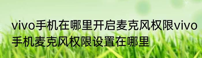vivo手机在哪里开启麦克风权限vivo手机麦克风权限设置在哪里