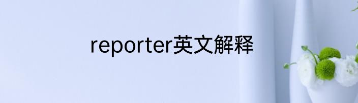 reporter英文解释
