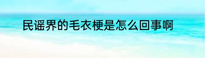 民谣界的毛衣梗是怎么回事啊