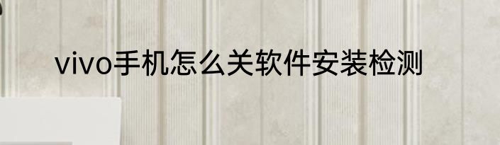 vivo手机怎么关软件安装检测