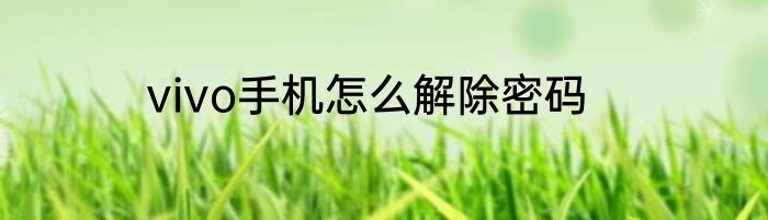 vivo手机怎么解除密码