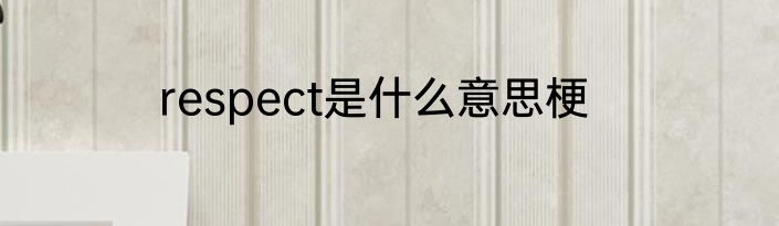 respect是什么意思梗