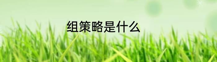 组策略是什么