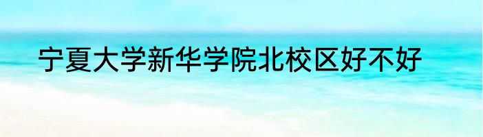 宁夏大学新华学院北校区好不好