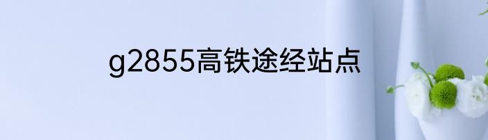 g2855高铁途经站点