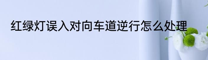 红绿灯误入对向车道逆行怎么处理