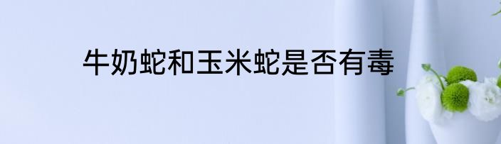 牛奶蛇和玉米蛇是否有毒