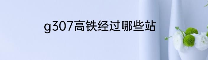 g307高铁经过哪些站