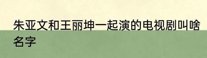 朱亚文和王丽坤一起演的电视剧叫啥名字