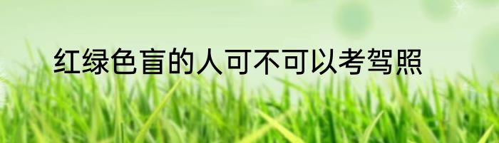 红绿色盲的人可不可以考驾照