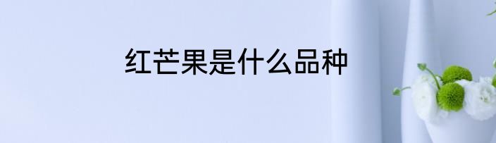红芒果是什么品种