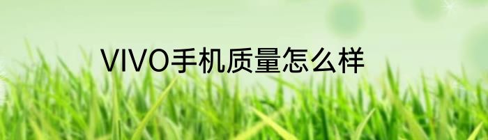 VIVO手机质量怎么样