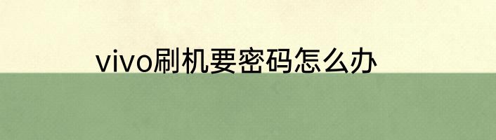 vivo刷机要密码怎么办