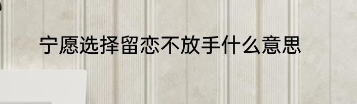 宁愿选择留恋不放手什么意思