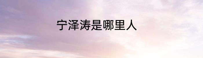 宁泽涛是哪里人