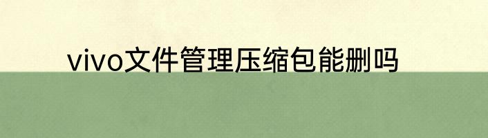 vivo文件管理压缩包能删吗