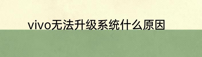 vivo无法升级系统什么原因