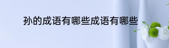 孙的成语有哪些成语有哪些