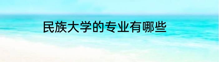 民族大学的专业有哪些