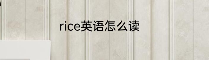 rice英语怎么读