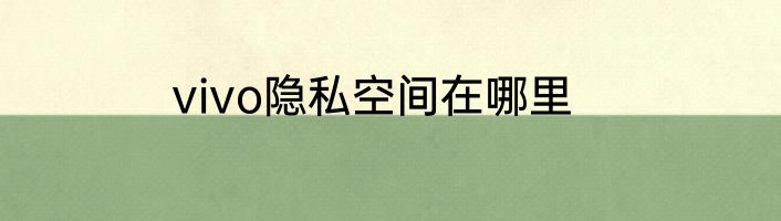 vivo隐私空间在哪里