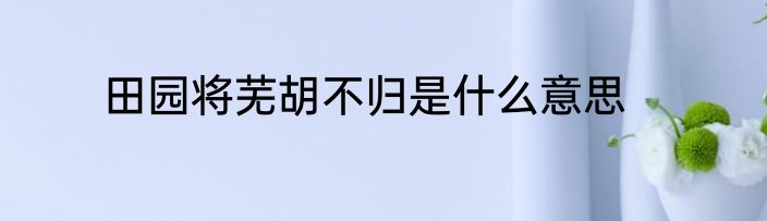 田园将芜胡不归是什么意思
