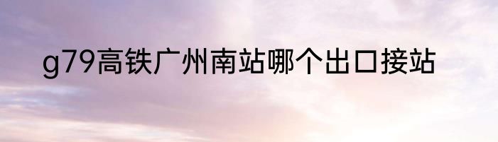 g79高铁广州南站哪个出口接站