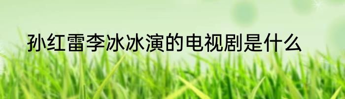 孙红雷李冰冰演的电视剧是什么