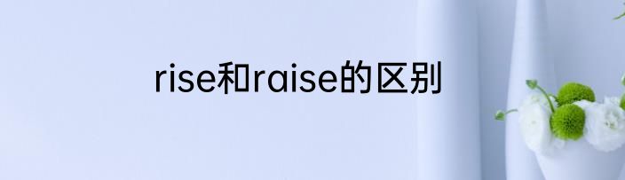 rise和raise的区别