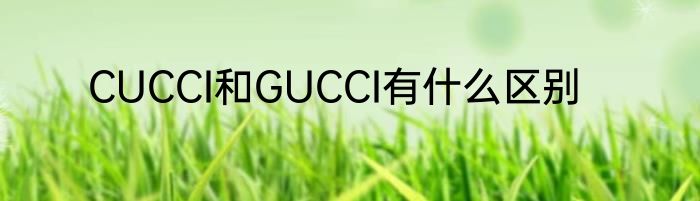 CUCCI和GUCCI有什么区别
