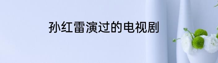 孙红雷演过的电视剧