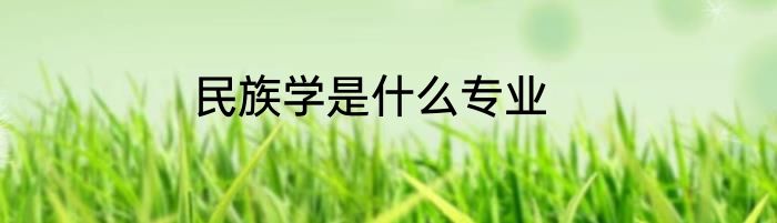 民族学是什么专业