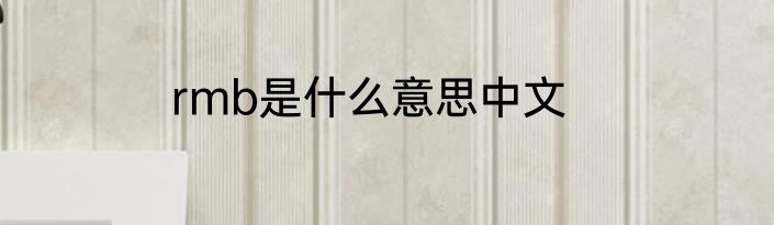 rmb是什么意思中文