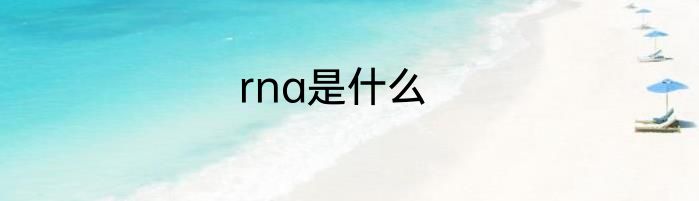 rna是什么
