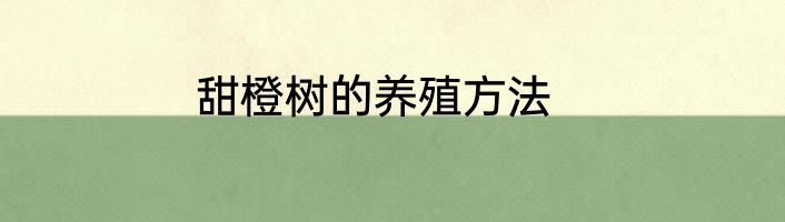 甜橙树的养殖方法