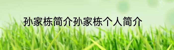 孙家栋简介孙家栋个人简介