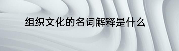 组织文化的名词解释是什么