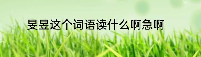 旻昱这个词语读什么啊急啊