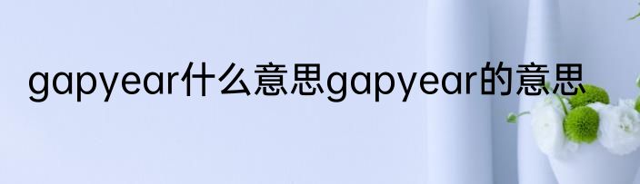 gapyear什么意思gapyear的意思