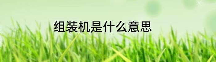组装机是什么意思