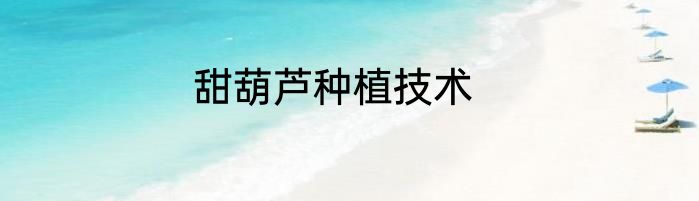 甜葫芦种植技术