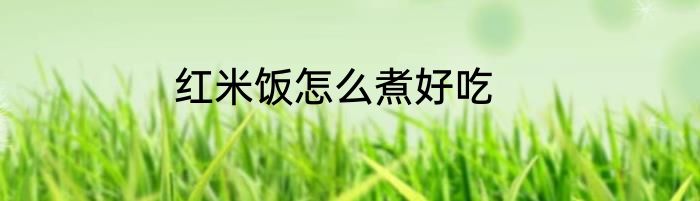 红米饭怎么煮好吃