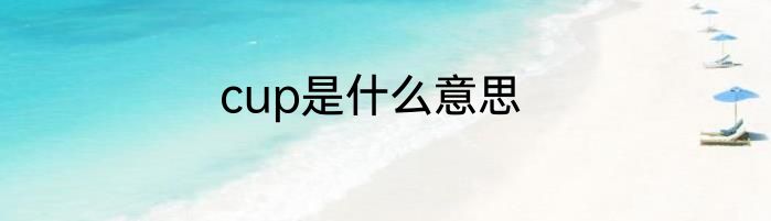 cup是什么意思