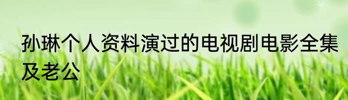 孙琳个人资料演过的电视剧电影全集及老公